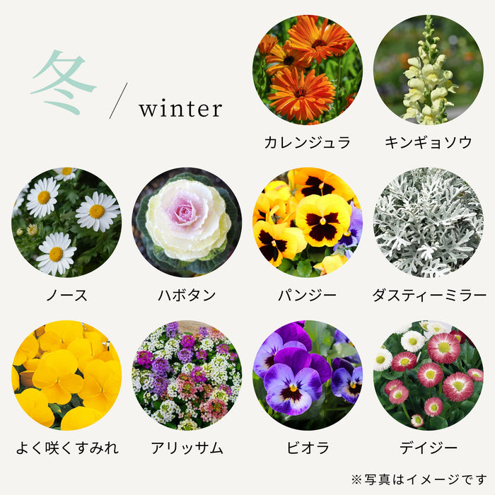つづける菜園セット 冬のお花アソート 16ポット