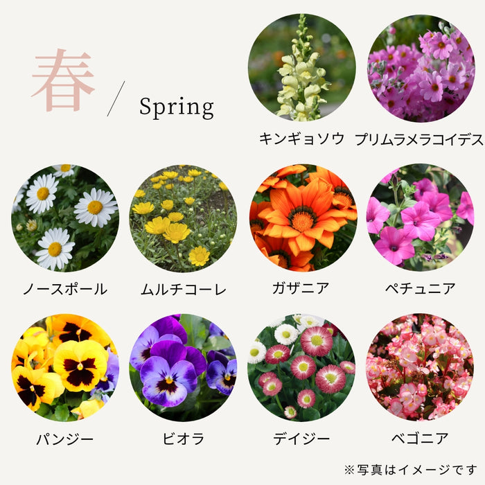 つづける菜園セット 春のお花アソート 16ポット