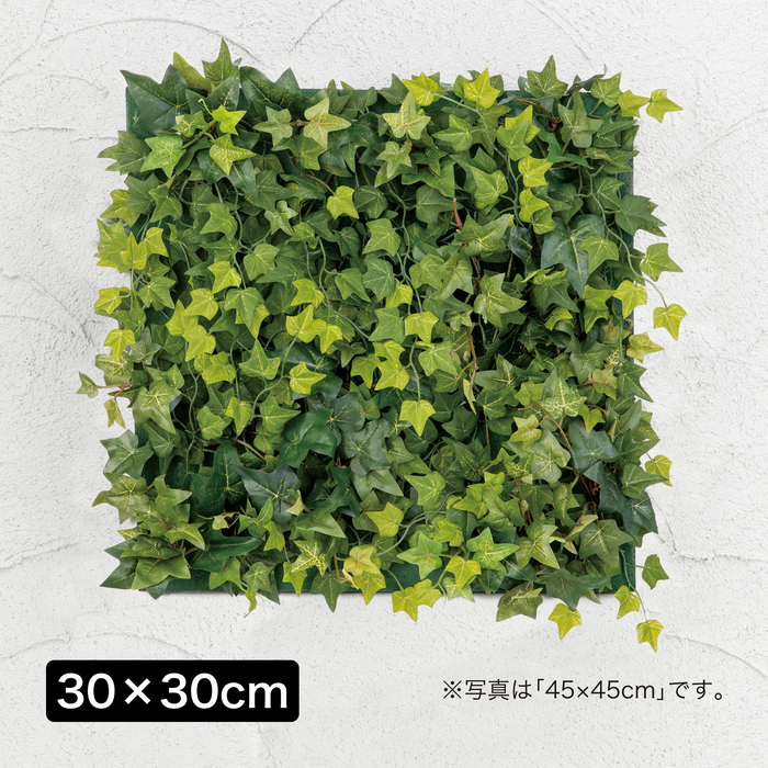 壁面アレンジ Ｃミニアイビー 30×30cm (人工植物)