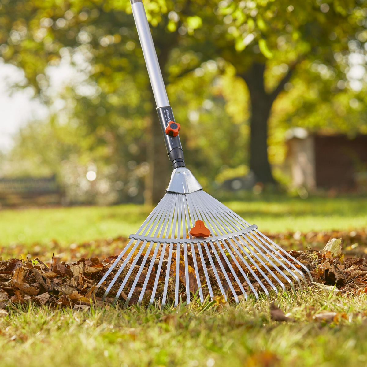 アグレミーナ浜松　非売品　限定ピステ 3_a72a5456-4583-4bc0-8ba7-