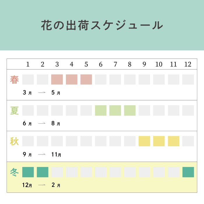 はじめる菜園セット 冬のお花アソート 16ポット