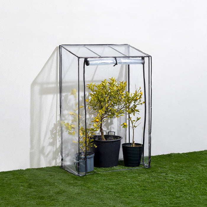 ビニール温室 果樹・観葉植物用