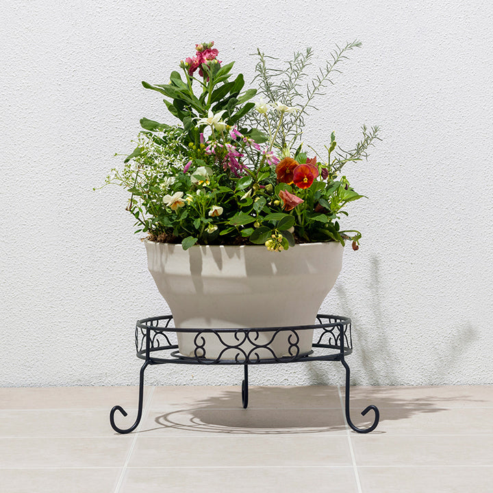 フラワースタンド  サルサ120cm ブラック フラワースタンド サルサ120cm ブラック 楽天市場】フラワー