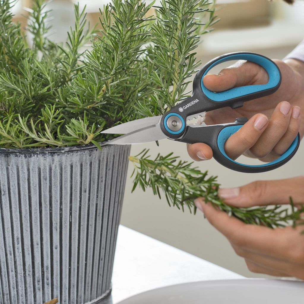 BC-155487_1024x1024.jpg?v=