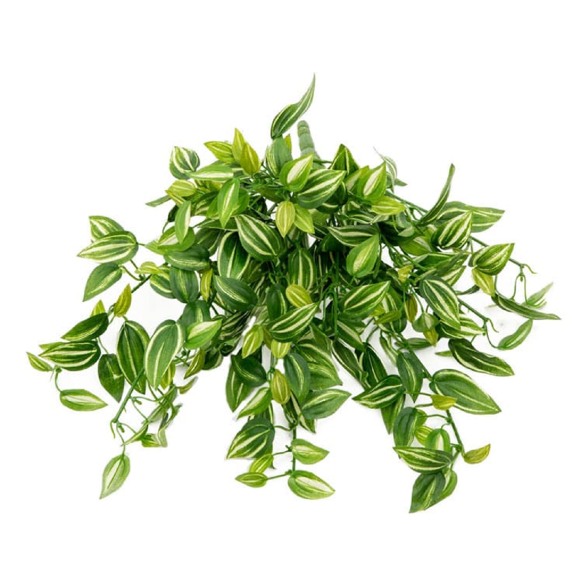 人工植物
